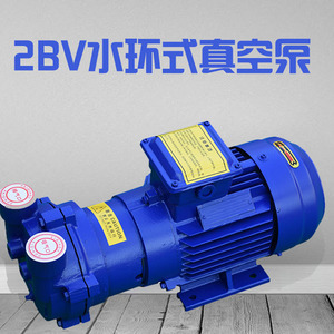 Bomba de Vacío de Anillo Líquido 2BV, Motor Eléctrico de 3 HP, Conexión por Brida, Uso Industrial - Product Image 5