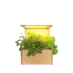 Pots et jardinières d'intérieur intelligents Jardin de fleurs hydroponique avec lumière LED