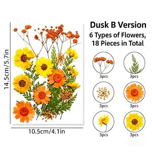 ชุดวัสดุกลีบดอกไม้แห้งสีขาวสำหรับงาน DIY งานฝีมือ ทำเครื่องประดับ ตกแต่งบ้าน และห่อของขวัญ - Product Image 3