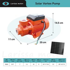 Bomba de Agua Periférica de Hierro Fundido <span class=keywords><strong>Pedrollo</strong></span> QB60 con Energía Solar, Motor de Cobre para Agua Limpia y Aguas Residuales Agrícolas, Garantía CE OEM - Product Image 2