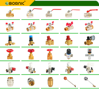 Válvula de bola de latón Bornic 3/8-8 con rosca macho neumática y conector de púas PEX MIP FIP, válvula de agua hembra, OEM personalizable
