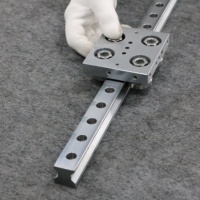 Qingong - Guía Lineal de Acero de Alta Precisión y Silenciosa, Módulo Lineal Deslizante T23 para Máquinas Herramienta CNC e Impresoras 3D
