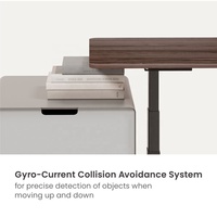 OEM ODM 180 kg Table de travail debout à hauteur réglable intelligente électronique ergonomique à double moteur sans balais à 3 étages