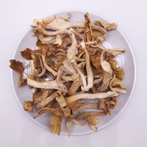 12021 Ji You Jun Cogumelos Amarelos Desidratados Naturais de Alta Qualidade Cantharellus Cibarius Secas Chanterelle Processamento Cru AD - Product Image 5