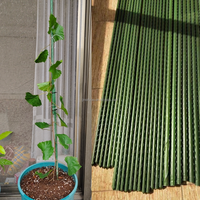 Piquets pour plantes grimpantes en acier Support pour plantes en pot Tomates et fleurs