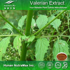 100% Extrato Natural Em Pó Extrato de Raiz de Valeriana Ácido Valérico 10kg - Product Image 4
