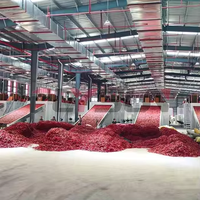 Ligne de production automatique de nettoyage, de hachage, de séchage et de fabrication de poudre de poivre en acier inoxydable SUS316L, machine à chili avec engrenage