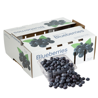 Boîtes en carton ondulé robustes pour fruits, bananes, bleuets, emballages en papier, boîtes rigides pour légumes