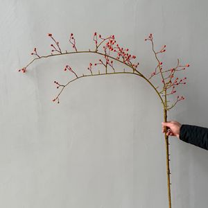 Branche de fruits artificielle Yunxi rouge, verte, orange en plastique pour décorations de fêtes, maison, salle d'exposition, restaurant - Product Image 4