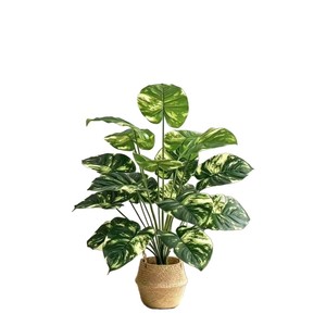 Plante artificielle de lierre vert en pot, décoration intérieure et extérieure, style nordique, ornement pour salon - Product Image 4