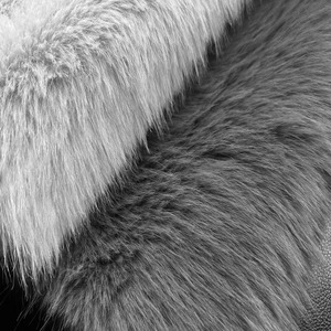 Colección de ropa de otoño e invierno que suministra poliéster Toka Velvet Coat y almohada Tusk Faux Pelt con piel de zorro de imitación Toscana - Product Image 4