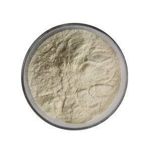 Natuurlijke Natto Extract Nattokinase Poeder - Product Image 4