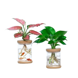 Hot Selling Christmas Gift Plastic Pots Hydroponics Planter Plant Plants Planters Indoor Self Watering Transparent Flower Pot