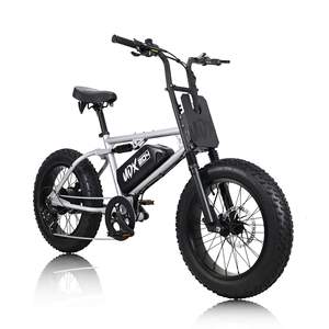 จักรยานเสือภูเขา eBike เงิน UDX - Product Image 2