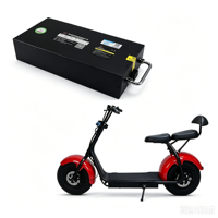 Batterie au lithium LiFePO4 60V 20Ah pour moto électrique Citycoco avec BMS intelligent, fabrication sur mesure OEM ODM