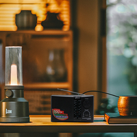 Logo Kustom Pesanan OEM Speaker Radio Portabel 3 inci dengan USB/TF Built-In, 8 Band AM/FM SW, Dapat Diisi Ulang, Baterai Lithium 600mAh FM-1330BT
