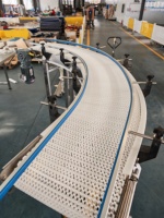 Sistema de Transportador Modular para Elevação de Frutas e Processamento de Alimentos, Correia Transportadora Modular com Design de Cadeia Plástica Flexível