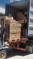 Ventes en gros de palettes en plastique jetables robustes et durables pour fruits et légumes, plateaux rectangulaires personnalisés pour aliments
