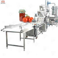 Automatische Kleine Verwerkingsbedrijf Tomatenpuree Productielijn Tomatenpuree Making Machine