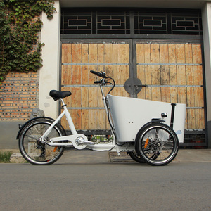 Nuevo Diseño de Triciclo Velomóvil, Bicicleta Eléctrica de Carga, Tipo de Conducción Eléctrica - Product Image 6