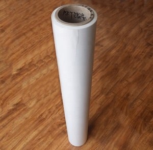 <span class=keywords><strong>Película</strong></span> de Fluoruro de Polivinilideno (PVDF) Transparente de 25 micras Resistente a la <span class=keywords><strong>Intemperie</strong></span> - Product Image 3