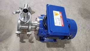 Bomba <span class=keywords><strong>de</strong></span> Impulsor <span class=keywords><strong>de</strong></span> Goma Flexible EPDM <span class=keywords><strong>de</strong></span> Grado Alimenticio para Conexión <span class=keywords><strong>de</strong></span> Eje <span class=keywords><strong>de</strong></span> Motor Eléctrico, para Desnatado <span class=keywords><strong>de</strong></span> Piña - Product Image 2