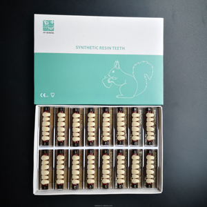 Prótesis Dental YP de Dos Capas, Dientes Superiores Anteriores de Resina Sintética Y1, Dientes de Resina Acrílica Dental - Product Image 3