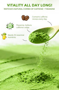 OEM Tören <span class=keywords><strong>Matcha</strong></span> Tozu Toplu Otantik Organik <span class=keywords><strong>Matcha</strong></span> Yeşil Çay Tozu Özel Etiket <span class=keywords><strong>Matcha</strong></span> Tozu Japonya - Product Image 3