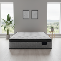 Colchón de Espuma Viscoelástica de Látex Natural para Hotel de 5 Estrellas, Tamaños Personalizados, King, Queen, Individual, Enrollable, con Gel, con Muelles Ensacados, en Caja