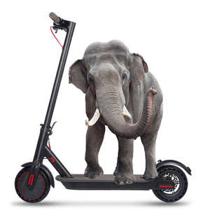 Patinetes eléctricos de 2 ruedas para adulto, Scooter Eléctrico potente de <span class=keywords><strong>2023</strong></span> W y 500W, rápido con batería extraíble, 1000 C - Product Image 1