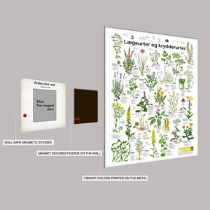 Vente en gros d'affiches en métal <span class=keywords><strong>botanique</strong></span> Décoration murale d'art pour la maison <span class=keywords><strong>Fleurs</strong></span> <span class=keywords><strong>et</strong></span> plantes variées Impression en étain Magnet Monté Poster en métal personnalisé - Product Image 2