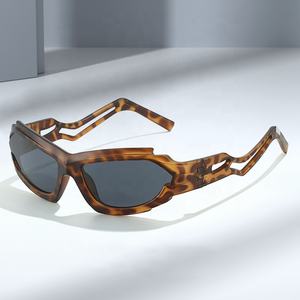 Lunettes de soleil futuristes Y2K pour hommes et femmes, style steampunk, lunettes de soleil uniques, lunettes de soleil amusantes pour le sport, lunettes de soleil avec logo - Product Image 2