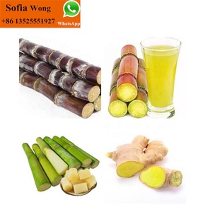 Presse-agrumes <span class=keywords><strong>de</strong></span> canne à sucre <span class=keywords><strong>de</strong></span> <span class=keywords><strong>grande</strong></span> <span class=keywords><strong>capacité</strong></span> commercial automatique/machine à <span class=keywords><strong>jus</strong></span> <span class=keywords><strong>de</strong></span> canne à sucre/presse-agrumes <span class=keywords><strong>de</strong></span> canne à sucre - Product Image 6