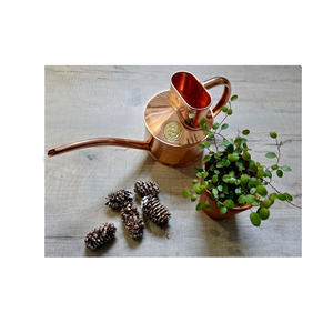 <span class=keywords><strong>Haws</strong></span> biểu tượng đồng trong nhà tưới nước có thể phong cách Đất Nước-phong cách vườn phụ kiện Kit cho nhà vườn tầng sử dụng công cụ Kit - Product Image 6