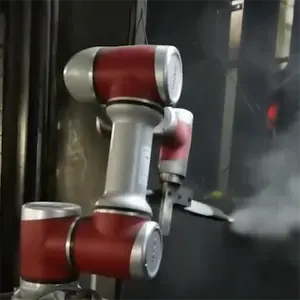 Offre Spéciale bras de Robot de pulvérisation automatique pour Robot de peinture de voiture industrielle de 1kg