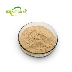 Extracto de Beta Dextranasa en Polvo, Polvo de Enzima Dextranasa - Product Image 1