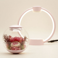 Décoration de fleurs immortelles Maglev - Fleur préservée flottante avec interrupteur tactile pour la maison et le bureau