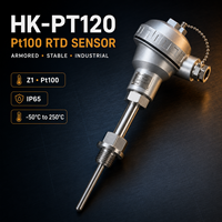 Probe Suhu RTD Platinum Pt100 HK-PT120 Sensor Kepala Koneksi Kokoh untuk Boiler, Pipa, Tangki Air dan Minyak