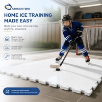 Panneaux de glace synthétique UHMWPE, plaques de patinoire artificielle pour attraction de patinage sur glace dans les parcs d'attractions