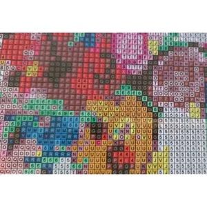 Thấp moq New phụ nữ hiện đại với hoa kim cương nghệ thuật Kit DIY khảm nghệ thuật Bộ dụng cụ vẽ tranh in chất liệu vải - Product Image 5