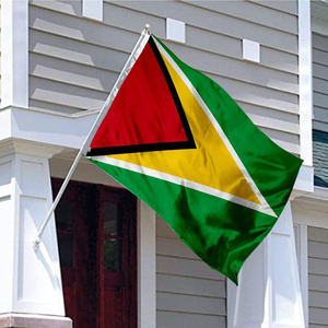 Bandera Deportiva Personalizada de Fábrica de 3x5 pies para los Detroit Lions, 100% Poliéster, Impresión Digital en Aluminio, Bandera de Cuerda - Product Image 1