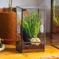 Terrarium en verre antique avec cadre noir, pot à plantes succulentes, décoration intérieure, récipient pour plantes, pour la maison, le bureau, la présentation sur le bureau