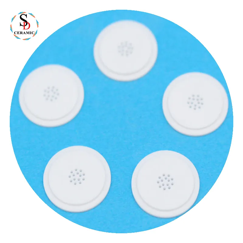 High Temperature Wear Resistant 95%/99% Al2O3 Alumina Ceramic Discs Customized