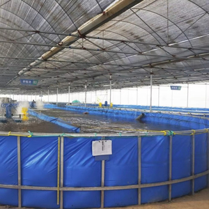 Système d'aquaculture entièrement automatique intelligent avec filtre RAS pour l'élevage de poissons et crevettes, configuration complète pour la culture du saumon en eau salée - Product Image 4