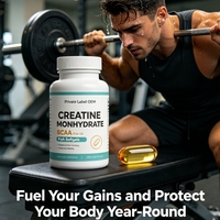 Créatine Monohydrate BCAA L-Carnitine Huile de Poisson en Gélules Marque Blanche OEM Soutien Musculaire Pré-Entraînement Adulte 60 Gélules Nutrition Sportive GMP