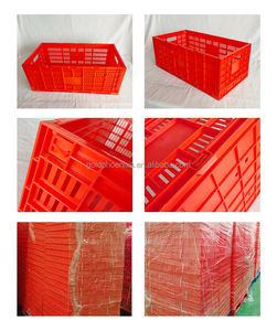 Contenitore per Uova Pieghevole in Plastica YYC, Gabbia per Trasporto Uova di Gallina - Product Image 3