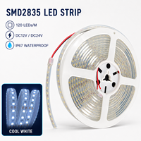 Bande lumineuse LED flexible SMD2835 120LEDs/M DC12V 24V IP67 étanche pour l'éclairage architectural extérieur et paysager