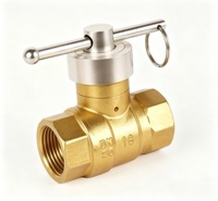 Vanne de clôture manuelle en laiton verrouillable, Vanne d'isolement pour compteur d'eau / Vanne de pré-compteur, Raccord fileté femelle, PN16, 1/2in-2in, OEM
