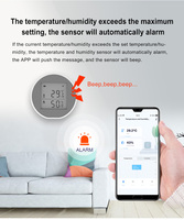 Lifelibero Smart Home Google Alexa Contrôle vocal Tuya Wifi Capteur d'humidité de la température Alimenté par batterie pour la décoration de la maison