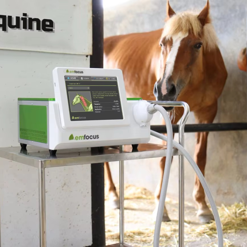 Professional Combination Treatment Veterinary Magnet Therapy